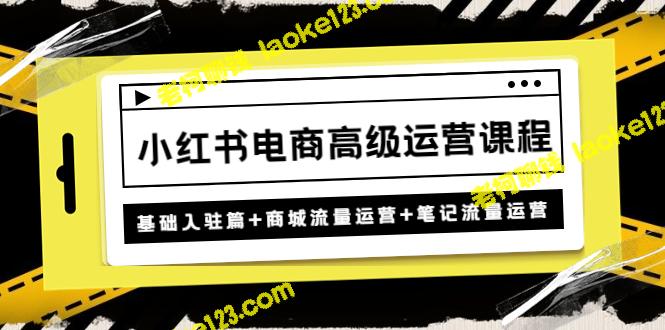 小红书电商高级运营课：基础入门+商城流量+笔记流量运营-老柯聊钱