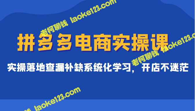 拼多多电商实操课，系统化学习实操落地，开店不迷茫（原创、精简、价值299元）-老柯聊钱