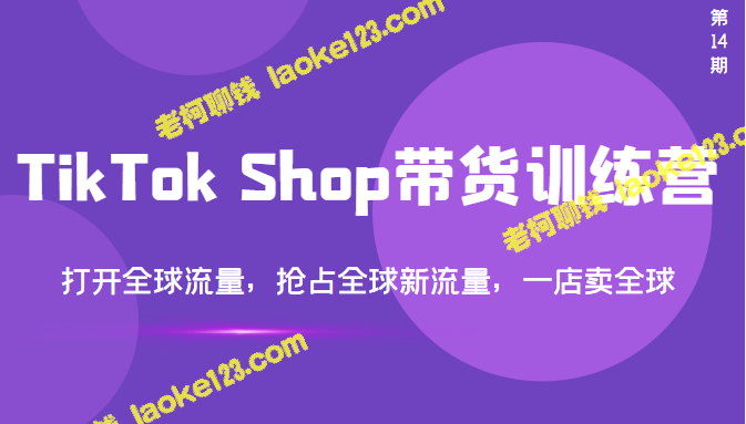 精简标题：打造全球流量，一店卖遍世界——TikTok Shop带货训练营（第14期）-老柯聊钱