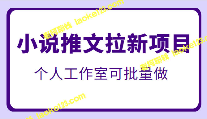 小说推广项目：个人工作室可批量操作，价格实惠-老柯聊钱