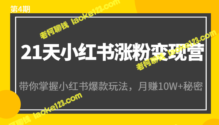 21天小红书营：教你爆款玩法，月入10W+秘籍-老柯聊钱