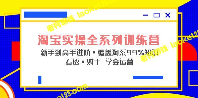 淘宝实战宝典：全面进阶淘系知识，看透对手轻松运营-老柯聊钱