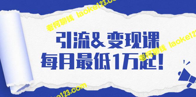 流量变现课：分享精简高效的流量方法与多渠道收入，最低月入1万！-老柯聊钱