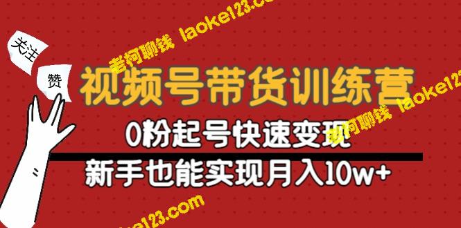 视频号带货训练营：新手0粉快速实现月入10w+-老柯聊钱