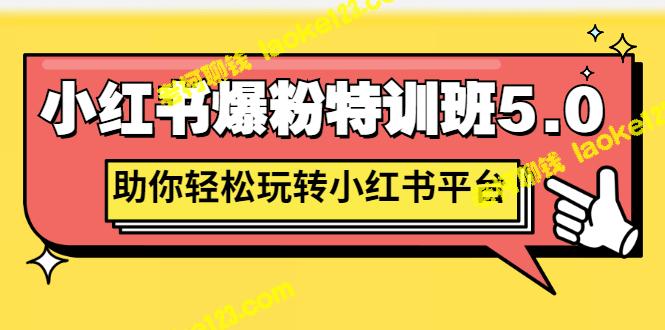 小红书爆粉特训班5.0，让你轻松驾驭平台，只需1380元-老柯聊钱