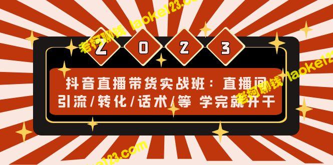 抖音直播带货实战班：学了就上手-老柯聊钱