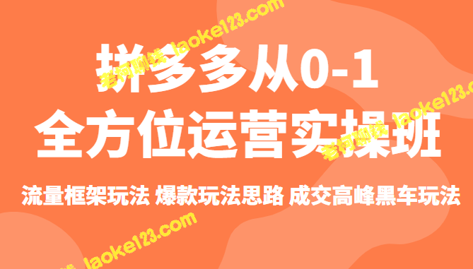 拼多多运营班全面实战指南：流量与爆款玩法，成交高峰的黑车秘籍-老柯聊钱