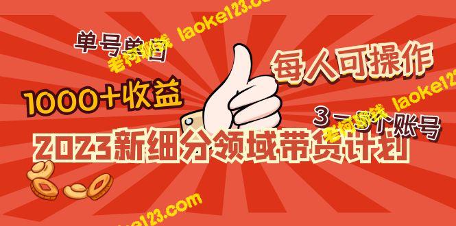 2023带货新领域计划:单号日均1000,操作3-5账号收益佳 2023带货新领域计划:单号日均1000,操作3-5账号收益佳