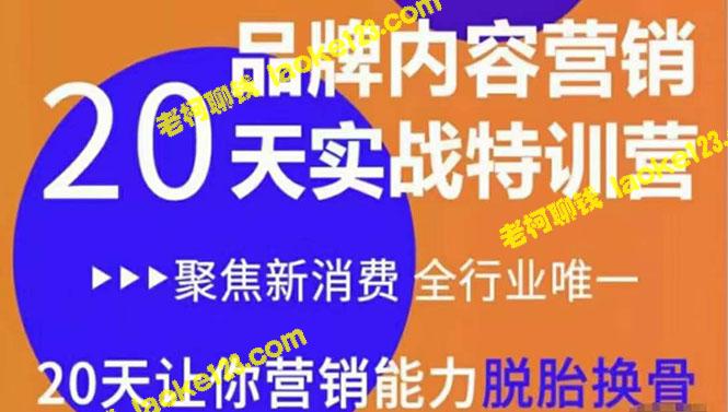 20天内容营销特训营，提升营销能力（仅售3999元）-老柯聊钱