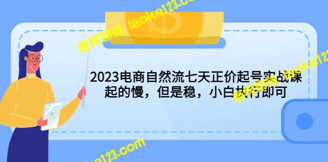 2023电商自然流七天实战课：稳定起步，适合小白执行-老柯聊钱