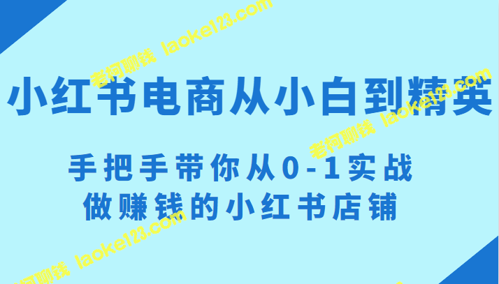 小红书电商实战指南：从0到1，打造赚钱的店铺-老柯聊钱