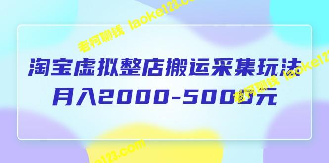 淘宝虚拟店铺搬运采集课程：月入2000-5000元（5节）-老柯聊钱