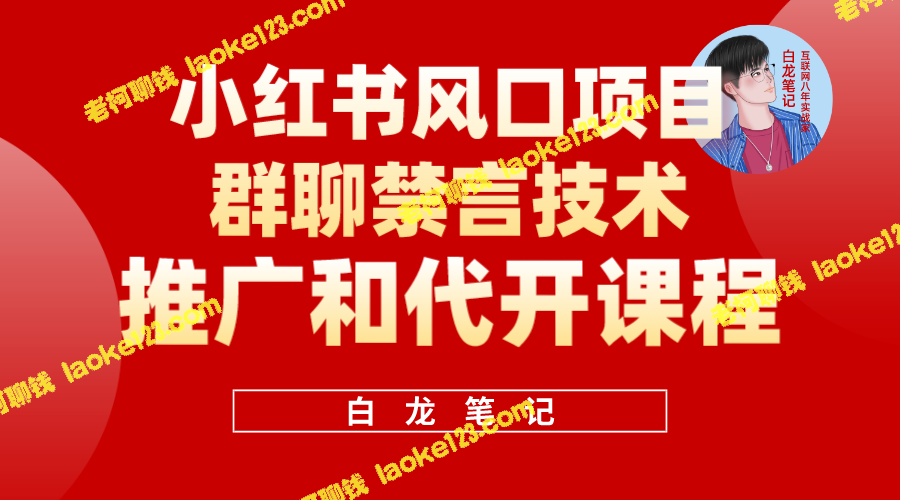 小红书禁言技术代开项目，日入超过300，新手友好。-老柯聊钱