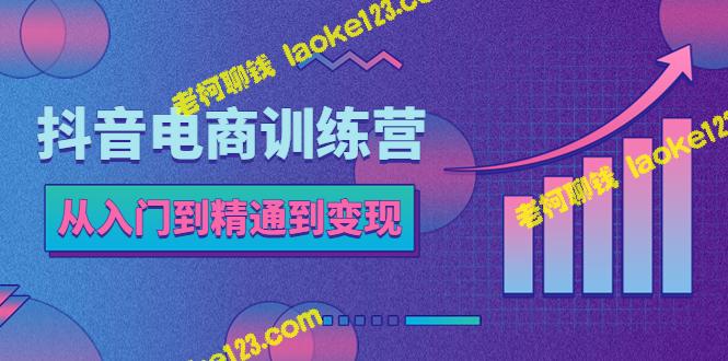 抖店电商训练营：从入门到精通，实战抖音账号定位与流量变现-老柯聊钱