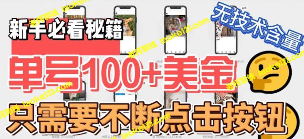 100美元单号批量操作项目，无需技能，轻松赚暴利-老柯聊钱