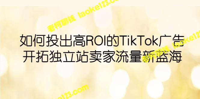 如何获得高ROI的TikTok广告效果，并拓展独立站卖家的流量。 – 老柯聊钱-老柯聊钱