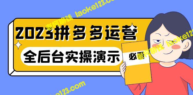 2023拼多多运营：14节实战课，全程实操，拒绝空谈。 – 老柯聊钱-老柯聊钱