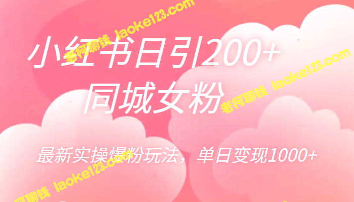 小红书 最新实操爆粉玩法，日引200+同城女粉，单日变现1000+。 – 老柯聊钱-老柯聊钱