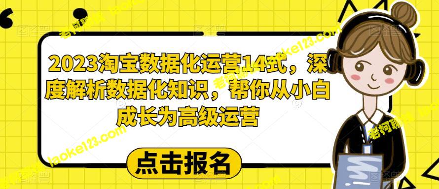 2023淘宝运营数据化14式：从小白到高级运营 – 老柯聊钱-老柯聊钱