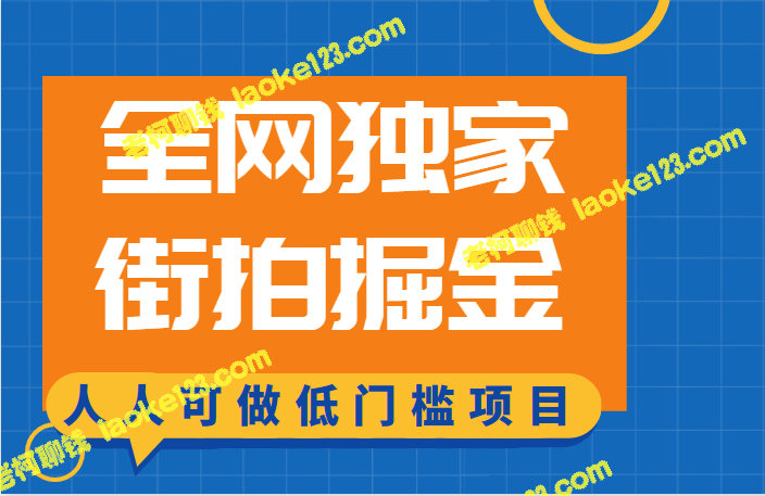 「全网独家：低门槛赚钱项目一街拍掘金」-老柯聊钱