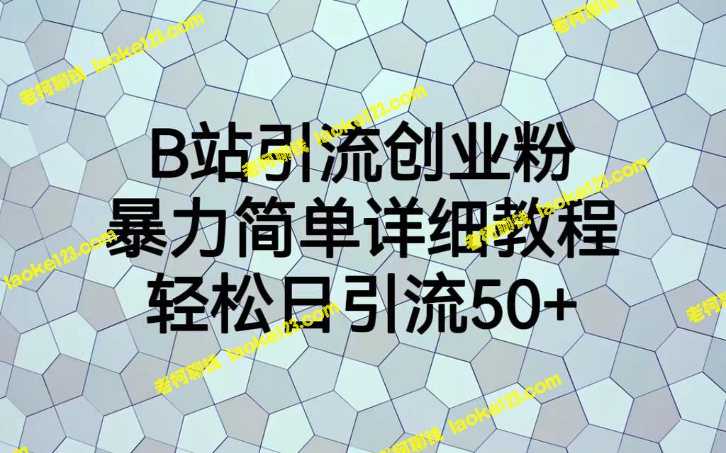 B站引流创业粉，轻松日引流50+，简明教程来袭-老柯聊钱