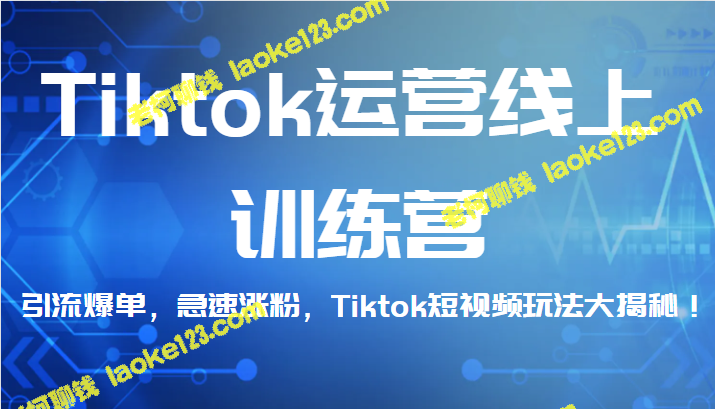 Tiktok运营训练营：引爆流量，快速涨粉，揭秘短视频技巧！-老柯聊钱