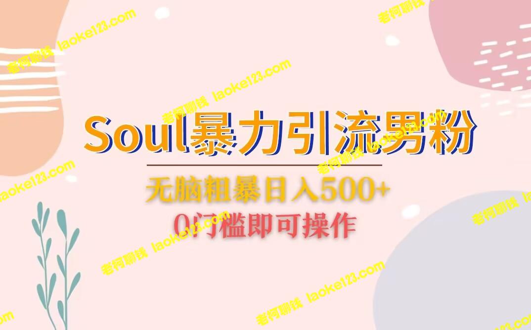 Soul引流男粉 无脑玩法，日入500＋，操作简单 – 老柯聊钱-老柯聊钱