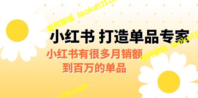 《小红书单品专家：月销百万的秘密揭示》 – 老柯聊钱-老柯聊钱