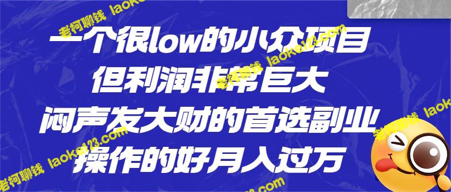 秘密暴利：默默致富的利润巨头，低调高收入的理想副业-老柯聊钱