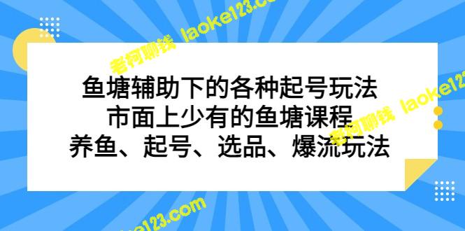 独特鱼塘玩法：辅助起号、市面罕见课程、养鱼选品、爆流技巧-老柯聊钱