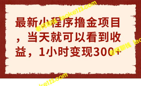 即时收益！1小时变现300+！最新小程序撸金项目！-老柯聊钱