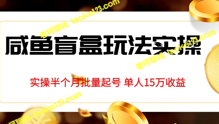 独享咸鱼盲盒玩法：半月批量起号单人15万收益揭秘-老柯聊钱