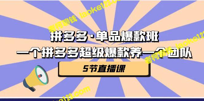 拼多多·单品班，一拼多多超级爆款养一个团队（5节直播）-老柯聊钱