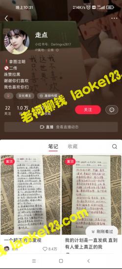 AI批量制造畅销小红书笔记+无货源玩法，让小白每天稳赚500+！