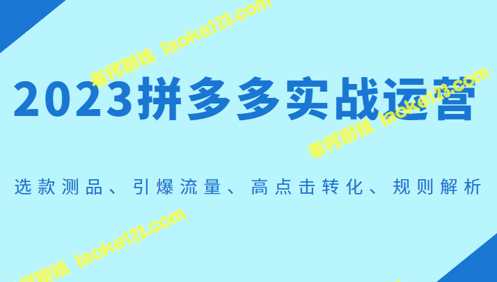 2023拼多多实操指南：选款、引流、转化，规则解析-老柯聊钱