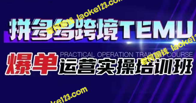 拼多多海外TEMU爆单运营实操培训班-老柯聊钱