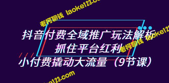 用抖音付费全域推广玩法撬动大流量——解析平台红利（9课节）-老柯聊钱