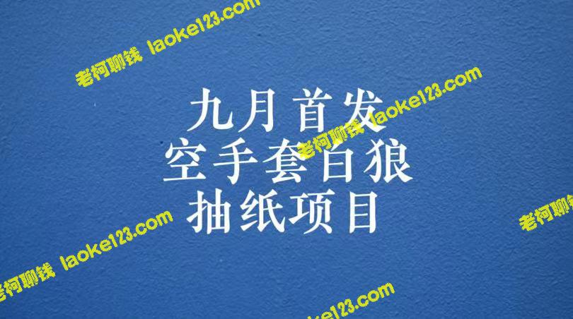 零成本，每日100-500收益的纯利项目，一步步教学-老柯聊钱