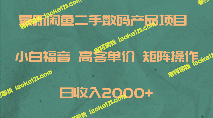 最新闲鱼数码赛道，小白福音，高客单价，日收入2000+-老柯聊钱