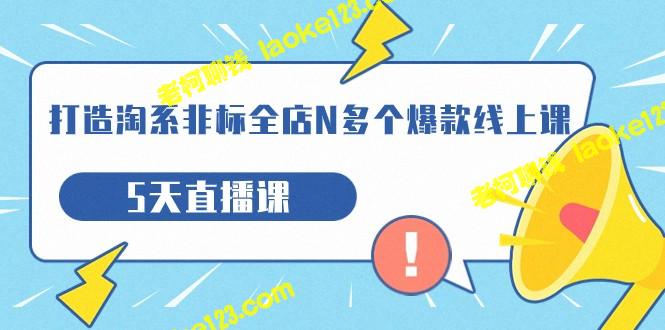 淘宝店铺非标爆款课程，5天直播课程（19期）-老柯聊钱