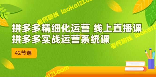 2023年8月：拼多多实战运营系统课-老柯聊钱