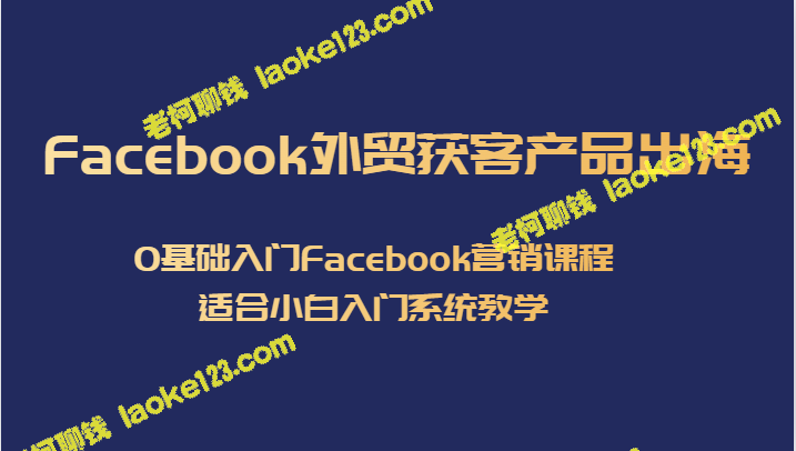 出海Facebook，0基础入门教程：一站式获客产品，适合小白快速学习-老柯聊钱