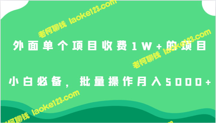 1W+单项目收费，小白必学，批量操作月入5000+-老柯聊钱