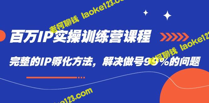 完整IP孵化方法：解决99%做号问题-老柯聊钱