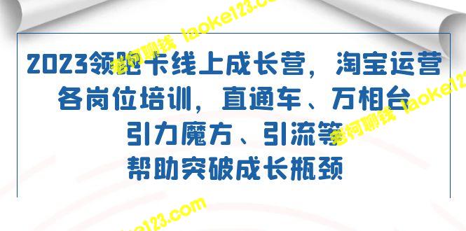 2023领跑：淘宝运营成长营招收各岗位培训生-老柯聊钱