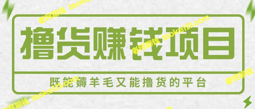 新手小白也能赚钱的简单寻利项目，每日几十几百元毛利可得【视频教程】-老柯聊钱