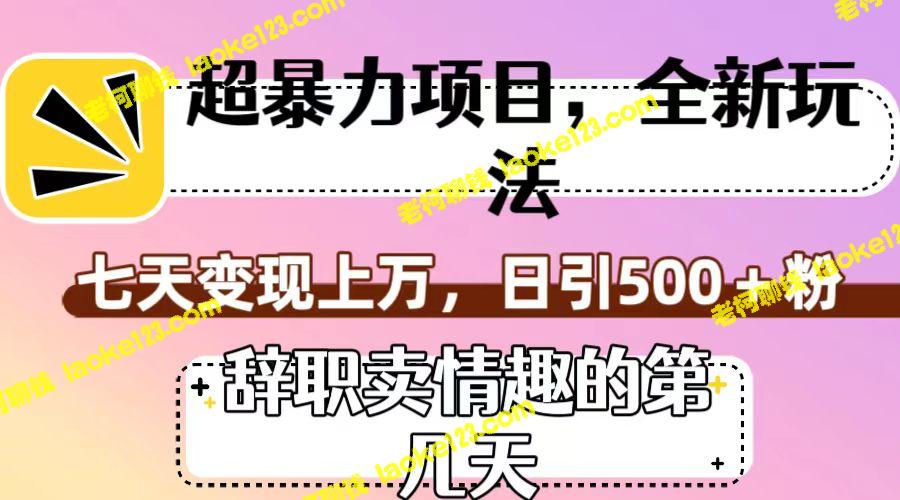 辞职卖情趣第几天，七日超赚上万，每日上涨500+粉丝-老柯聊钱