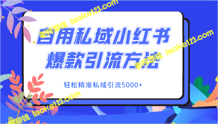 私域小红书引流法，轻松实现5000+精准用户-老柯聊钱