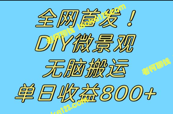 全网独家！尖端冷门赛道：DIY微景观，无需思考视频，每日收益800+-老柯聊钱